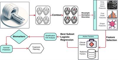 Radiomic biomarkers of locoregional recurrence: prognostic insights from oral cavity squamous cell carcinoma preoperative CT scans